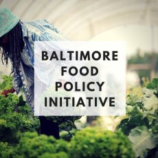Food Equity Cohort Application Now Accepting